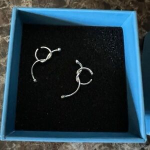 Sterling silver Earrings